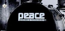 peace drumsets percussion and accessories, hardware, bass pedals 