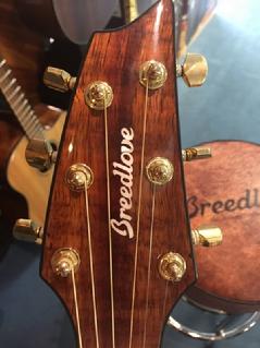 Breedlove, two old hippies, acoustic electric, cutaway