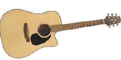 takamine acoustic guitar g acoustics